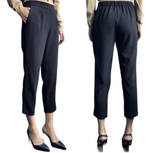 Aritzia Babaton Women’s Black Crepe Cropped Pleated Dress Pants Trousers XL